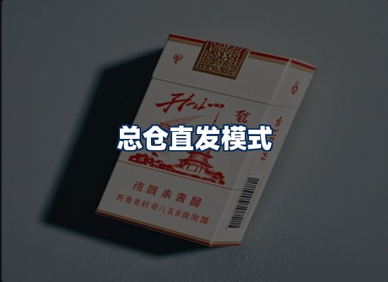 专业团队办公环境